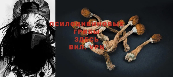 прущий лед Елабуга