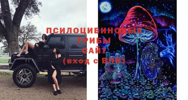 прущие крисы Каменка