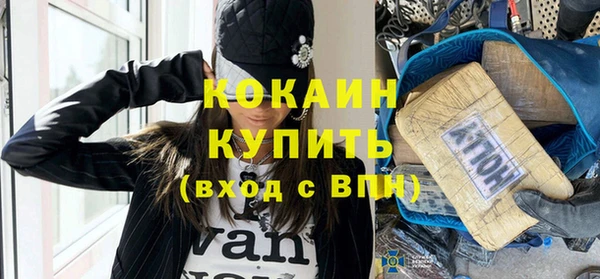 дмт Ельня